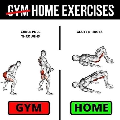 Muscle Gain Workout, King Warrior, Women Muscle, Cats Food, Fitness Hacks, Home Exercises, Fitness Facts, Workout Muscle, Food Plan