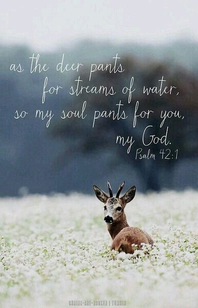 As the dear pants for the water so my soul pants for you my God Bible Quotes Life, Relationship Bible Quotes, Psalm 42, Best Bible Verses, Book Of Psalms, Ayat Alkitab, Faith Bible, Gospel Of Jesus Christ, Favorite Bible Verses