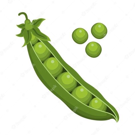 Premium Vector | Green pea fruit vegetable vector Green Vegetables Drawing, Fruits Animation, Pea Drawing, Vegetable Salad Ingredients, Kawaii Chibi Anime, Eco School, Vegetable Chart, Crocodile Cartoon, Vegetable Drawing