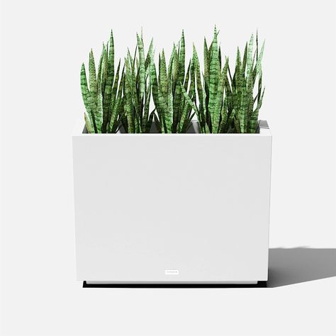 Amazon.com : Veradek Block Series Short Indoor/Outdoor Span Planter (24" H x 12" W x 30" L, White) : Patio, Lawn & Garden Styrofoam Insulation, Metal Planter Boxes, Rectangular Planters, Steel Planters, Plastic Planters, Kitchen Wall Tiles, Front Entrance, Metal Planters, Large Planters