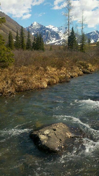 Along the South Fork Trail of the Eagle River near Eagle River, Alaska. Eagle River Alaska, Alaska Pictures, Mountain Streams, Alaska Mountains, Scenic Places, Dream Trips, Mountain Stream, Breathtaking Places, Living In Alaska