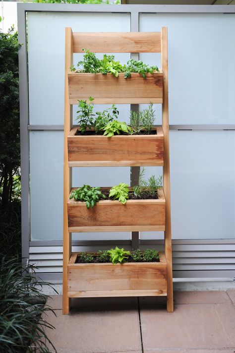 Vertical Planter Box, City Backyard, Garden Vertical, Vertical Garden Planters, Calming Corner, Tiered Planter, Garden Planter Boxes, Tiered Garden, Vertical Planter