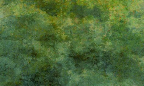 Green Texture Texture Examples, Grass Texture, Tree Texture, Photoshop Watercolor, Plant Texture, Tree Textures, Green Inspiration, Green Texture, Photoshop Textures