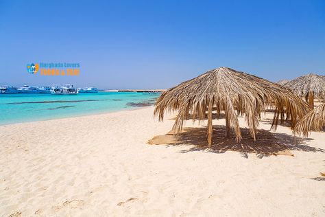 Paradise Island Hurghada Best Price one Day trip Snorkeling Tour – Hurghada Excursions Cairo Pyramids, One Day Trip, Egypt Travel, Paradise Island, Tour Operator, Family Day, Boat Trips, Luxor, Cairo