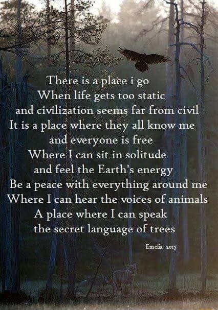 There is a plate i go When life gets too static and civﬂiiation seems far from civil It is a place where they all know me anel everyone is free Where]! can sit in solitude and feel the Earth's energy Be a peace with everything around me Where I can hear the voices of animals A place‘where I can speak the secret language of trees – popular memes on the site ifunny.co Nature Quotes Inspirational, Inspirerende Ord, Motiverende Quotes, A Poem, Nature Quotes, In The Woods, Great Quotes, Beautiful Words, Inspirational Words