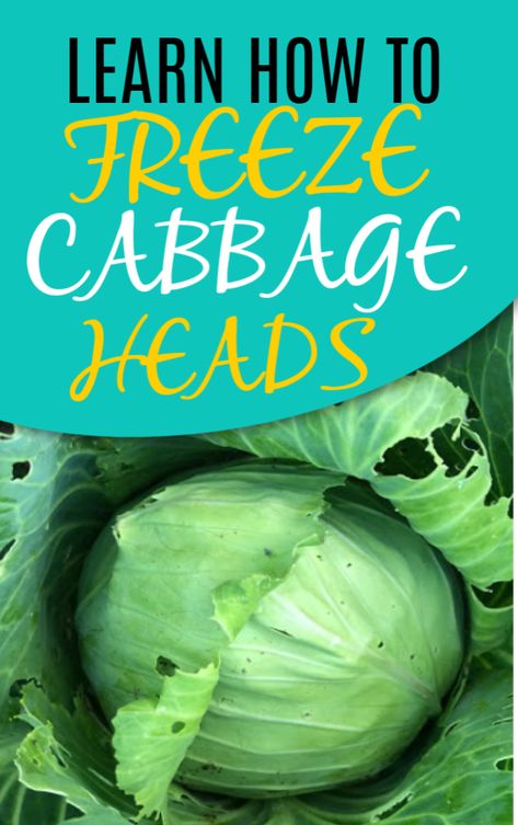 Uses For Cabbage, Storing Cabbage, Freezing Cabbage For Cabbage Rolls, Storing Cabbage For Winter, Freezing Cabbage Rolls, How To Freeze Cabbage Without Blanching, How To Preserve Fresh Cabbage, Freeze Cabbage Without Blanching, How To Use Cabbage