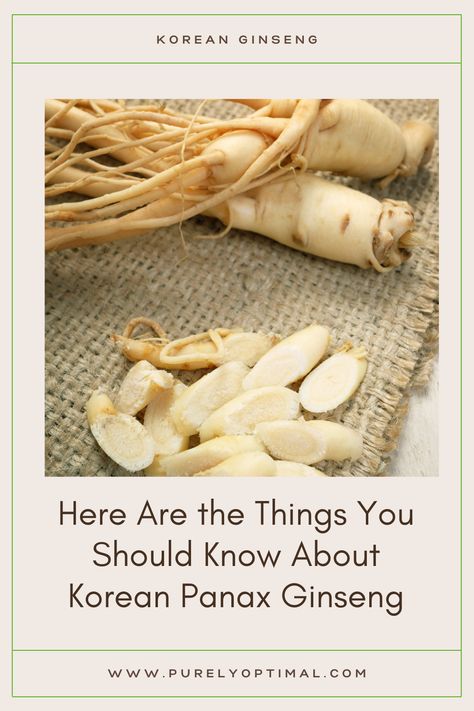 Here are the things you should know about Korean Panax ginseng -- its classifications and the fantastic benefits it can bring to your health and well-being. #koreanpanaxginseng #koreanpanaxginsengsupplements #panaxginsengbenefits #ginsengbenefits Korean Panax Ginseng Benefits, Benefits Of Ginseng For Women, Korean Ginseng Benefits, Panax Ginseng Benefits, Ginseng Benefits, Ginseng Tea, Korean Ginseng, Anti Oxidant Foods, Panax Ginseng