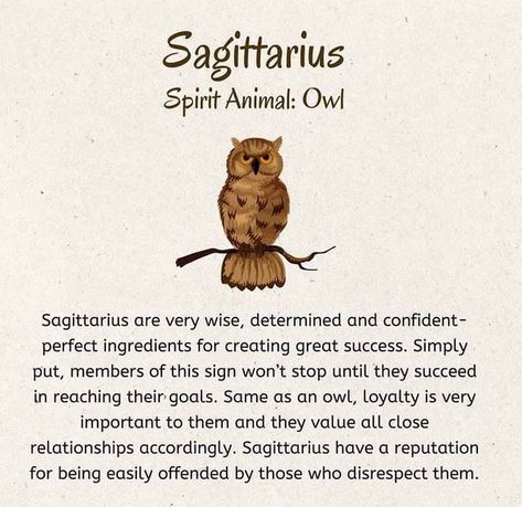 Symbolism Meaning, Zodiac Sagittarius Facts, Star Sign Art, Swan Wallpaper, Sagittarius Astrology, Zodiac Things, Pisces And Scorpio, Spiritual Animal, Zodiac Elements