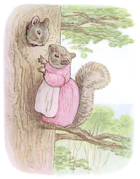 The Tale of Timmy Tiptoes - Wikisource, the free online library Beatrix Potter Illustrations, Beatrice Potter, Peter Rabbit And Friends, Potter Art, 22 December, A Squirrel, Beatrix Potter, Illustration Inspiration, Peter Rabbit