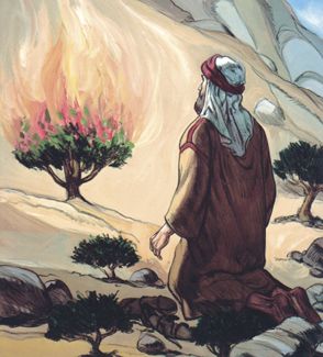 Prophet Moses, Bible Study Materials, Bible Photos, Burning Bush, Bible Images, Bible History, Bible Characters, Bible Pictures, Biblical Art