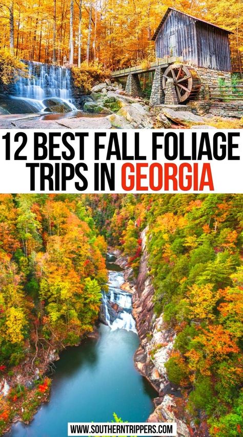 Things To Do In Georgia, Georgia Fall, Things To Do In Fall, Fall Foliage Trips, Fall Foliage Road Trips, Helen Georgia, Blue Ridge Georgia, Fall Blue, Georgia Vacation