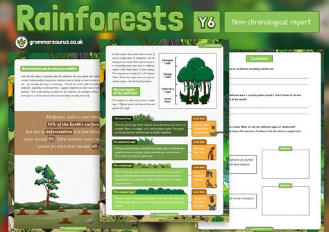 Year 6 Non Chronological Report - Rainforests - Grammarsaurus Non Chronological Report, Non Chronological Reports, 5th Class, Earth Surface, Year 6, School Projects, Projects For Kids, First Names, Texts