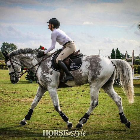 Cheval Pie, Riding A Horse, Horse Crazy, Sport Horse, Style Magazine, Horse Equestrian, Cute Horses, Horse Life, Horse Photos