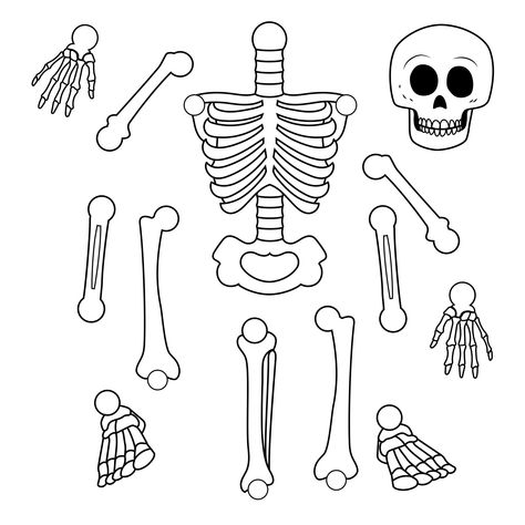 Printable Skeleton Template Cut Out Printable Human Skeleton Diagram, Mr Bones Skeleton, Skeleton Bones Printable, Paper Plate Skeleton Template, Free Printable Skeleton Template, Life Size Skeleton Printable Free, Free Printable Skeleton Bones, Skeletal System Project Models, Build A Skeleton Printable