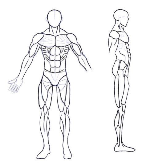 Front and side profile sketch Side Profile Drawing Full Body Male, Side Profile Sketch, Drawing Side Profile, Profile Sketch, Male Body Drawing, Side Profiles, Suit Drawing, Male Anatomy, Body Study