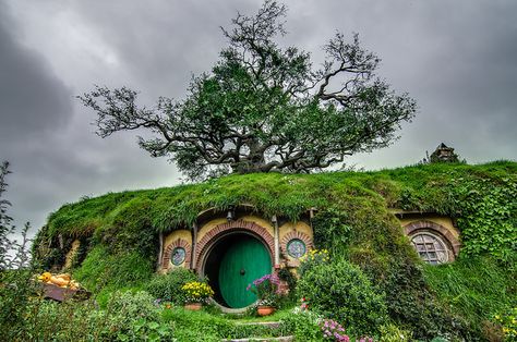 Is it Real? Bilbo Baggins’ Precious Hobbit House — Straight Out of the Shire #lotr #hobbit #tinyhouse #lovely #newzea Casa Do Hobbit, Casa Hobbit, Visit New Zealand, Movie Locations, Bilbo Baggins, Hobbit Hole, Hobbit House, The Shire, New Zealand Travel