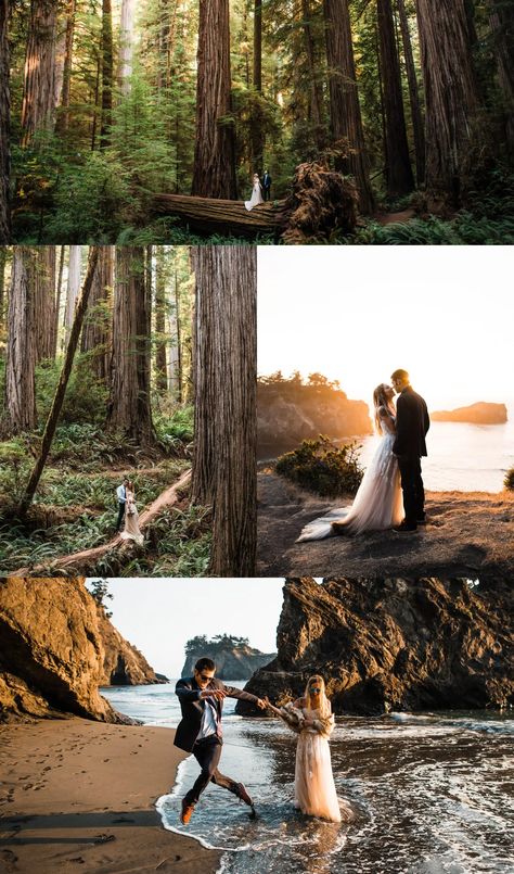 Redwoods Wedding Photos, Redwood Elopement Photography, Redwood Photoshoot, Ocean Elopement, Redwood Elopement, Cliff Elopement, Cliff Sunset, Magical Forest Wedding, Redwoods Elopement