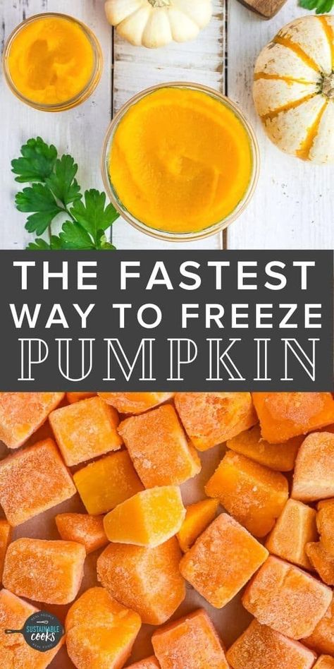 Learn all the tips and tricks for freezing pumpkins to extend the harvest. Learning how to freeze pumpkin in cubes or puree is a great way to preserve this wonderful ingredient without needing to know any special kitchen skills. How To Freeze Squash, Can You Freeze Pumpkin, Freeze Pumpkin, Freezing Pumpkin, How To Make Squash, Preserving Pumpkins, Vegan Butternut Squash Soup, Butternut Squash Chili, Freezing Vegetables