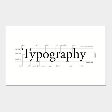 Typography Anatomy, Letter Anatomy, Anatomy Of Typography, Typography Portfolio, Type Anatomy, Writing Graphic Design, Science Text, Scientific Poster, Typography Book