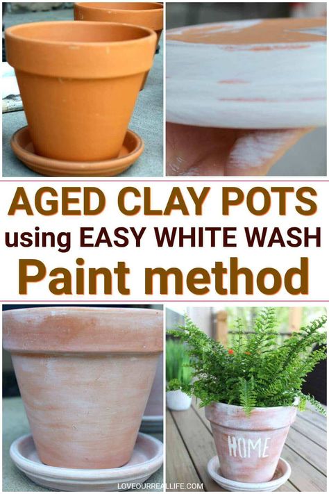 Learn how to make aged clay pot using this simple white washing paint method. Get pretty terra cotta pots that look like you've spent a fortune! #terracotta #agedclaypot #whitewash White Wash Paint, Aging Terra Cotta Pots, Diy Terra Cotta Pots, White Washing, Terra Cotta Pots, Easy Plants To Grow, Painted Clay Pots, Painted Clay, Painted Terra Cotta Pots