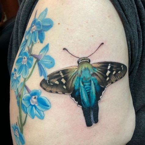 Someone posted a Long Tailed Skipper the other day so today I tattooed one!!! #eternalink #tattoo #tattoos #longtailedskipper #butterfly… Skipper Butterfly Tattoo, Skipper Butterfly, New Tattoo Designs, Long Tail, Butterfly Tattoo, Tattoo Artist, New Tattoos, I Tattoo, Tatting