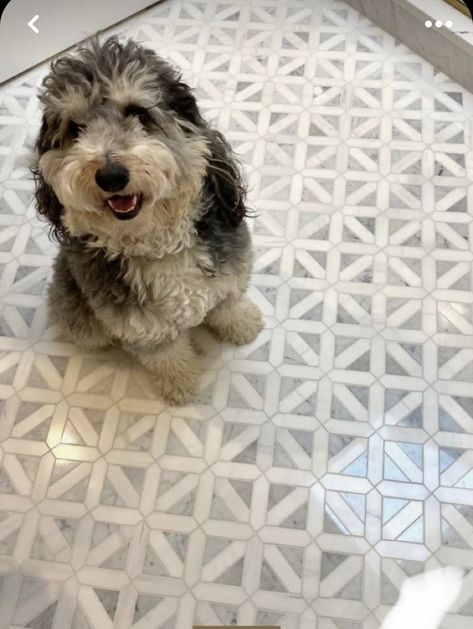 Fan Tiles Bathroom, Fun Powder Room Floor Tile, Msi Tile Bathroom, Small Bathroom Floor Tiles Ideas, Greek Key Tile Bathroom, Small Bathroom Pattern Tile Floor, Bathroom Floor Tile Ideas Joanna Gaines, Laundry Room Flooring Tile, Powder Bathroom Floor Tile