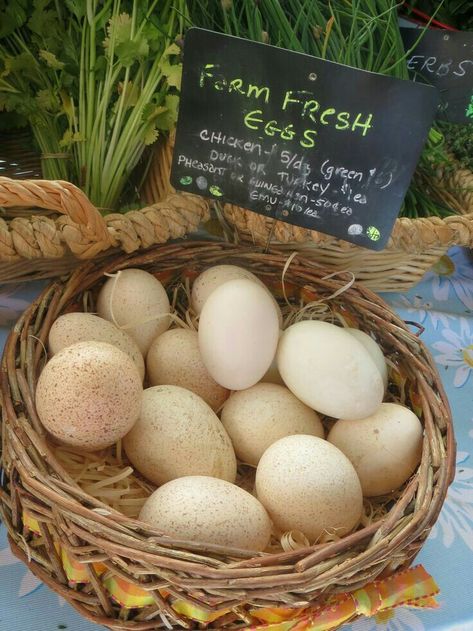 Raising Baby Chicks, Santa Monica Farmers Market, Farmers Market Display, Egg Display, Vegetable Stand, Farmers Market Recipes, Farm Store, Market Ideas, Farm Fresh Eggs