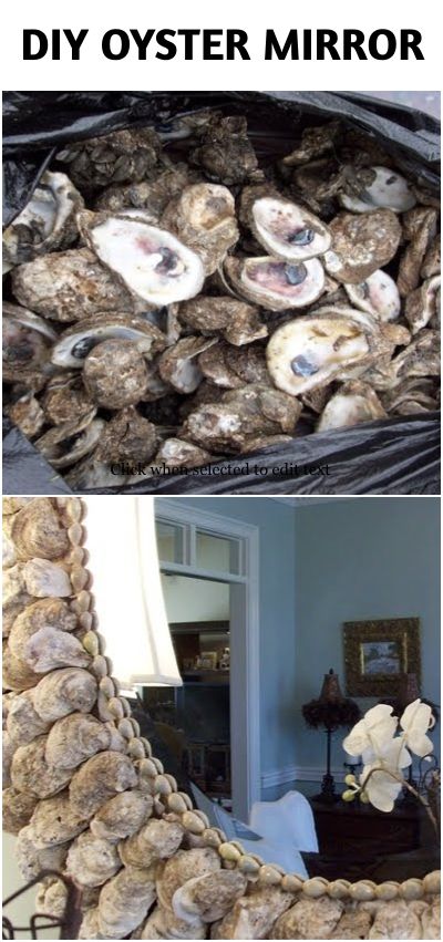 DIY Oyster Shell Mirror