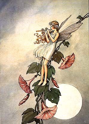 Serenading the Moon, vintage photography, fairy sitting on flowers playing flute music to full moon, Ida Rentoul Outhwaite, Fairy Sitting, Faery Art, Fairy Illustration, Fairy Artwork, Love Fairy, Fairies Elves, Vintage Fairies, 수채화 그림