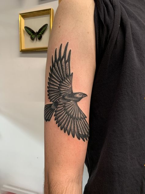 American Tradition Tattoo, Traditional Tattoo Crow, Raven Tattoo Ideas, Tradition Tattoo, Laguna Niguel California, Traditional Tattoo Man, Hawk Tattoo, Wrist Tattoo Designs, Embrace The Darkness