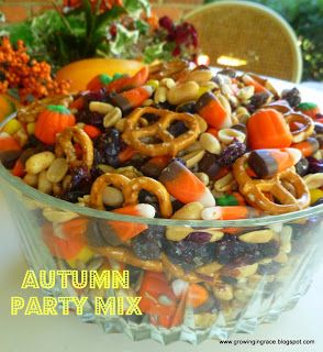 Snack Mixes - Joyful Homemaking Home Easy Diy, Crafts To Do At Home, Reese's Pieces, Pumpkin Carving Party, Autumn Party, Indian Corn, Mini Pretzels, Fun Crafts To Do, Party Mix