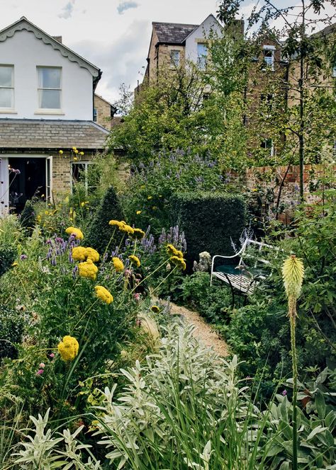 Laura Heybrook's garden in Oxford | House & Garden Garden Calendar, Garden Designer, City Garden, Back Gardens, Small Garden Design, Courtyard Garden, Garden Cottage, Back Garden, Small Gardens