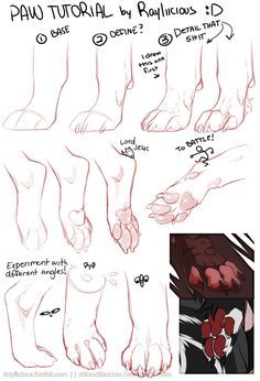 Feline Legs Reference, Wolf Feet Drawing, Cat Paw Reference, How To Draw Paws, Cute Paws, Dogs Paws, Paw Drawing, Animal Studies, Canine Drawing