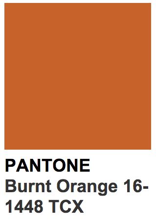 Burnt Orange Paint, Pantone Orange, Pantone Tcx, Orange Paint Colors, Aesthetic Profile, Pantone Colour Palettes, Orange Color Palettes, Orange Paint, Paint Swatches