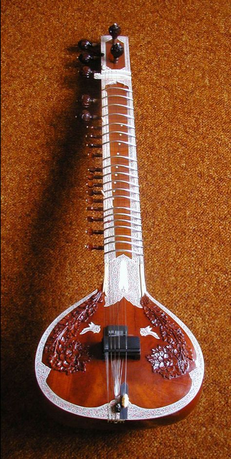 Sitar Instrument, Hindustani Classical Music, Pakistani Music, Indian Musical Instruments, Ravi Shankar, Violin Strings, Indian Classical Music, In Remembrance, Indian Music