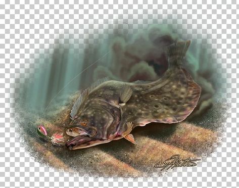 Clothing Drawing, Fishing Png, Flounder Fishing, December 27, Free Sign, Color Help, Png Image, Free Download, Fishing