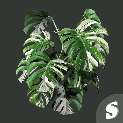 Sims 4 Cc Plants Patreon, The Sims 4 Cc Plants, Sims 4 Plants Cc, Variegated Monstera, Farm Clothes, Vertical Planter, 4 Leaves, Monstera Plant, Sims4 Cc