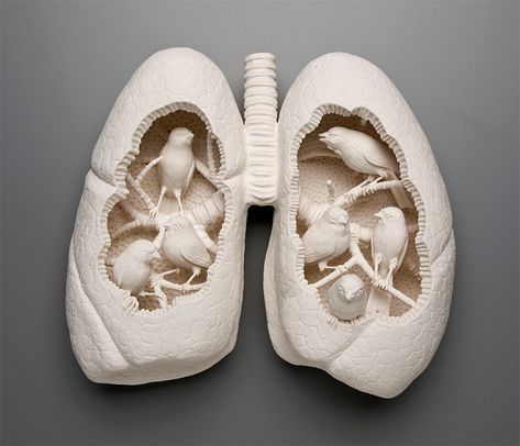 In her delicate crafted porcelain sculptures conceptual artist Kate McDowell expresses her interpretation of the clash between the natural world and the modern-day environmental impact of industrialized society. The resulting works can be equal parts amusing and disturbing as the anatomical forms of humans and animals become inexplicably intertwined in her delicate porcelain forms. Kate Macdowell, Lungs Art, Frida Art, Kunst Inspiration, Porcelain Art, Form Design, Sculpture Installation, Lungs, Art Plastique