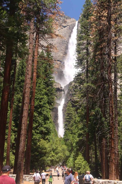 The Upper and Lower Yosemite Falls seen together from the famous trail to its base Vernal Falls Yosemite, Yosemite Waterfalls, Yosemite Lodging, Bigfoot Art, Yosemite Trip, Cali Trip, Waterfall Scenery, Tuolumne Meadows, Bob Goff