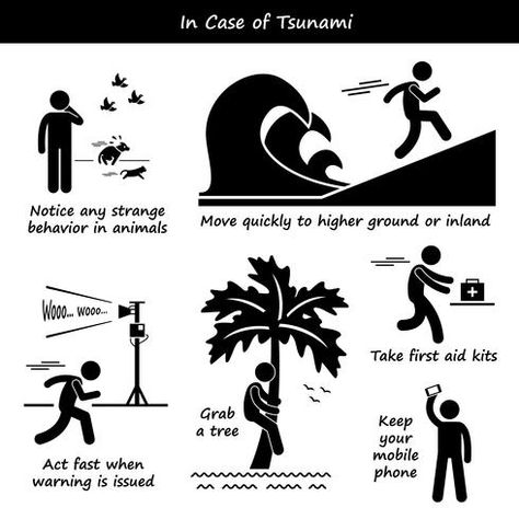 In Case of Tsunami Emergency Plan Stick Figure Pictogram Icons. Emergency Action Plan, Body Gestures, Train Wreck, Emergency Plan, Emergency Management, Stick Figure, Action Plan, Stick Figures, Survival Tips