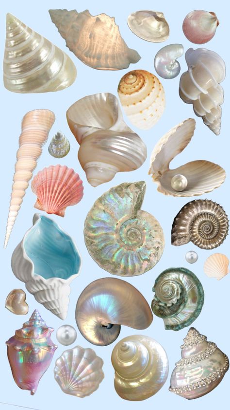 Makeup Stickers, Nostalgia Art, Collage Book, Mixed Media Crafts, Mermaid Aesthetic, Shell Crafts Diy, Scrapbook Stickers Printable, Shell Beach, Memory Scrapbook