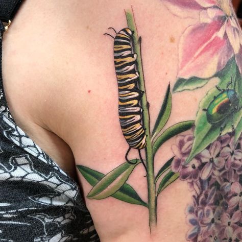 I raised it AND tattooed it! Finally I was able to tattoo one of my babies I raised from an egg! Thank you so much Wendy! And thank you so… Caterpillar Tattoo, Cute Caterpillar, Think Tattoo, Amsterdam Tattoo, Tattoo Expo, City Tattoo, Delicate Tattoo, Feminine Art, Feminine Tattoos