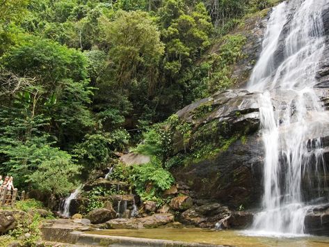 Tijuca National Park | Travel + Leisure Tijuca National Park, Trip To Brazil, متحف فني, National Park Travel, Brazil Travel, Exotic Places, Future Family, National Parks Trip, Family Vacations