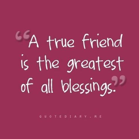 A true friend False Friendship, Friendship Sayings, Cute Best Friend Quotes, Friendship Day Wishes, Cute Friendship, Sayings And Quotes, A True Friend, Flirt Text Messages, Good Quotes