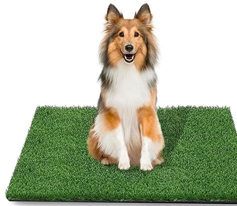 27 Best Grass Dog Potties for Indoor and Outdoor (2023) - Sarah Scoop Fake Grass For Dogs, Dog Potty Area, Artificial Grass For Dogs, Artificial Grass Rug, Pet Turf, Grass Mat, Dog Pee Pads, Grass Rug, Potty Pads