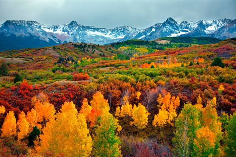 Colorado Towns, Colorado Fall, Visit Colorado, Best Campgrounds, Fall Getaways, Grand Lake, Awesome Places, Albert Camus, Mountain Scene