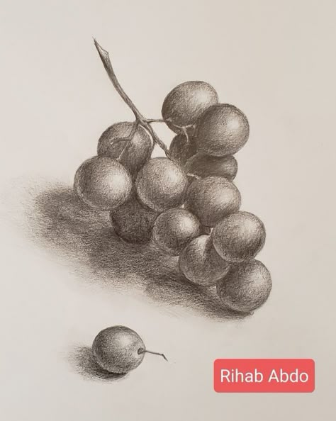 Fruit Shadow Drawing, Fruit Sketching, Still Life Fruit Drawing, Drawings With Shading, Grape Drawing, Fruit Sketch, Still Life Sketch, Canvas Art Painting Acrylic, Life Sketch