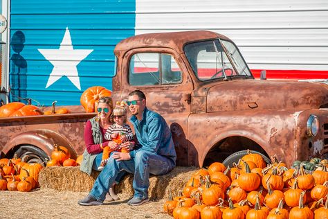 The Robinson Family Farm | Temple, Texas | Fall Playground Sand, Barrel Train, Temple Texas, Texas Travel Guide, Robinson Family, Farm Family, Cheap Things To Do, Pumpkin Patches, Weekend Activities