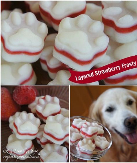 Strawberry Frosty, Frosty Paws, Homemade Pet Treats, Easy Dog Treat Recipes, Easy Dog Treats, Diy Dog Treats, Puppy Treats, Dog Biscuits, Dog Treat Recipes