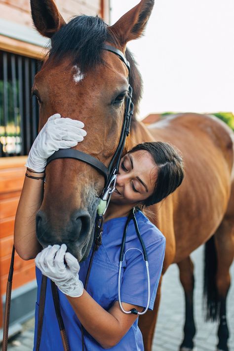 Vet Pictures, Vet School Motivation, Equine Vet, Equine Veterinarian, Becoming A Veterinarian, Equine Veterinary, Veterinary School, Vet Medicine, Vet School